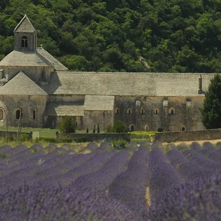 Le Clos Des Lavandes-luberon Lacoste (Vaucluse)