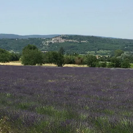 Le Clos Des Lavandes-luberon Lacoste (Vaucluse)