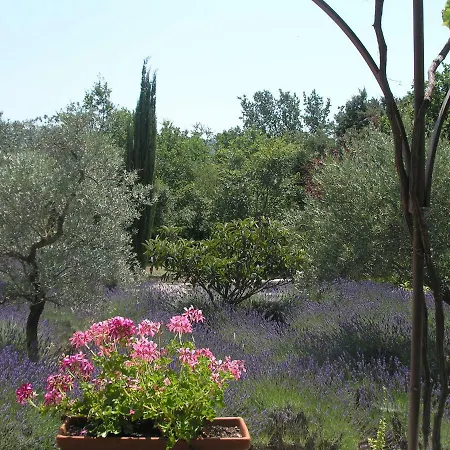 Clos Des Lavandes - Et De Charme Climatisees-luberon 3*